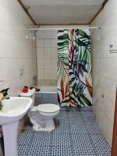 Marari Rapa Nui Hotel Hanga Roa Kültér fotó